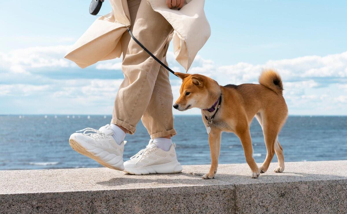 Side view owner walking with dog